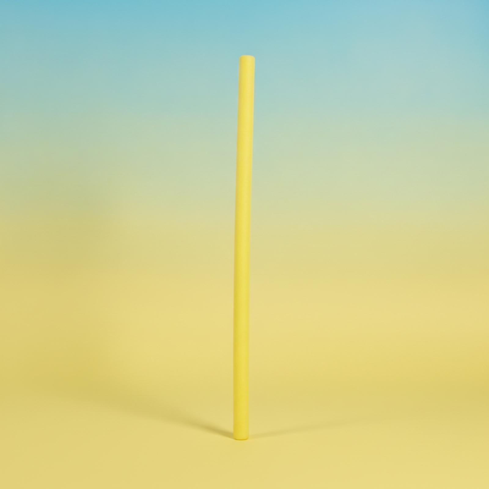 Pool Training Float Bar Cylind - Foam Pool Noodle recension och pris