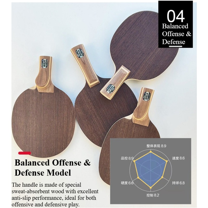 Chinese/Japanese Penhold Table - Table Tennis Paddle recension och pris