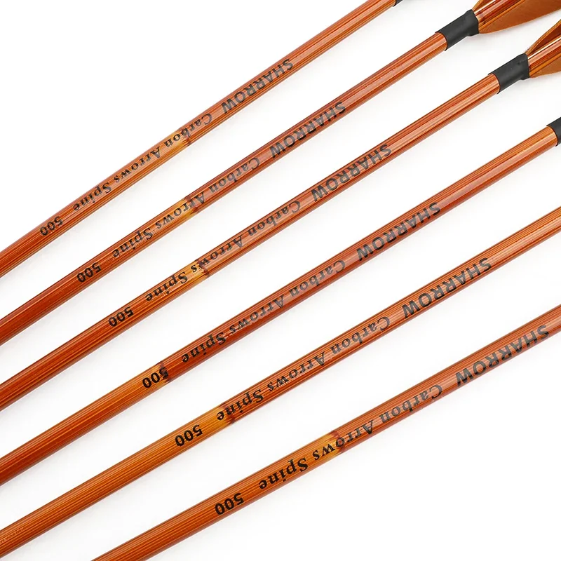 6/12pcs Mixed Carbon Arrows SP - Archery Target Face recension och pris