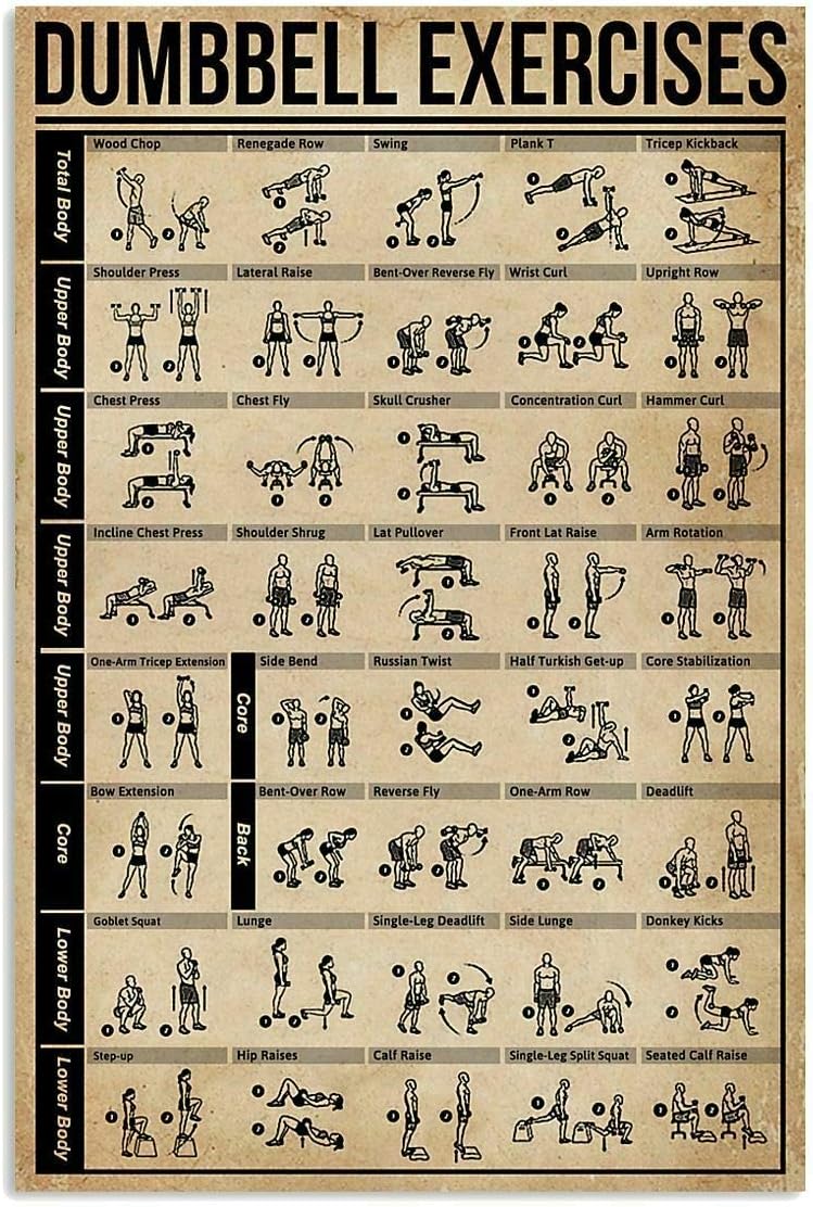JIUFOTK Dumbbell Exercises Pos - Sports Equipment Poster recension och pris