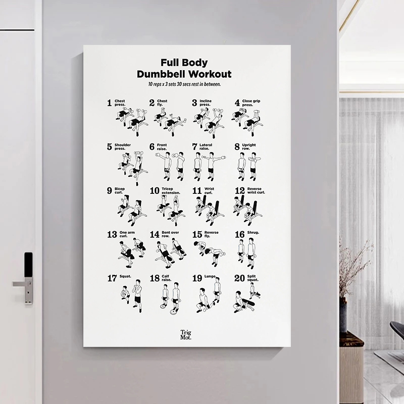 Dumbbell Gym Chart Poster Prin - Sports Equipment Poster recension och pris