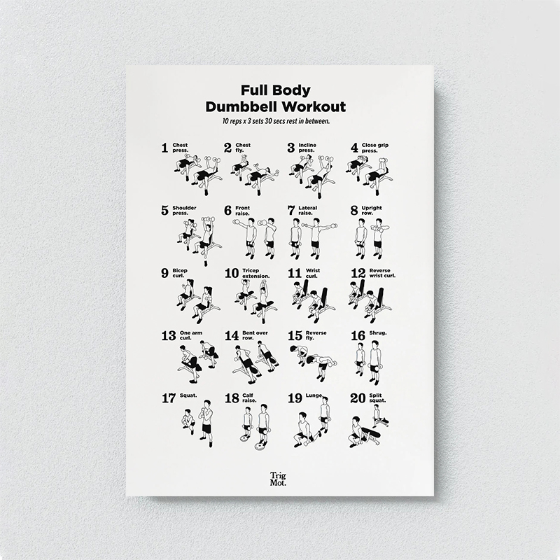 Dumbbell Gym Chart Poster Prin - Sports Equipment Poster recension och pris